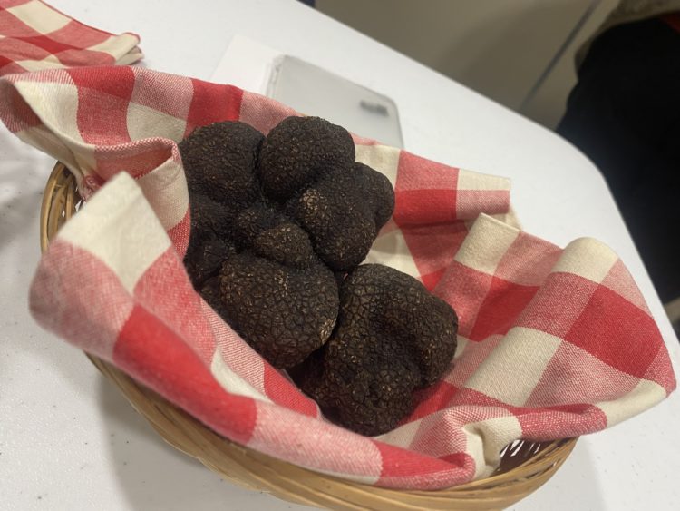 Truffes mélanosporum présentées au marché se déroulant chaque dimanche à la Mairie de Mainxe-Gondeville