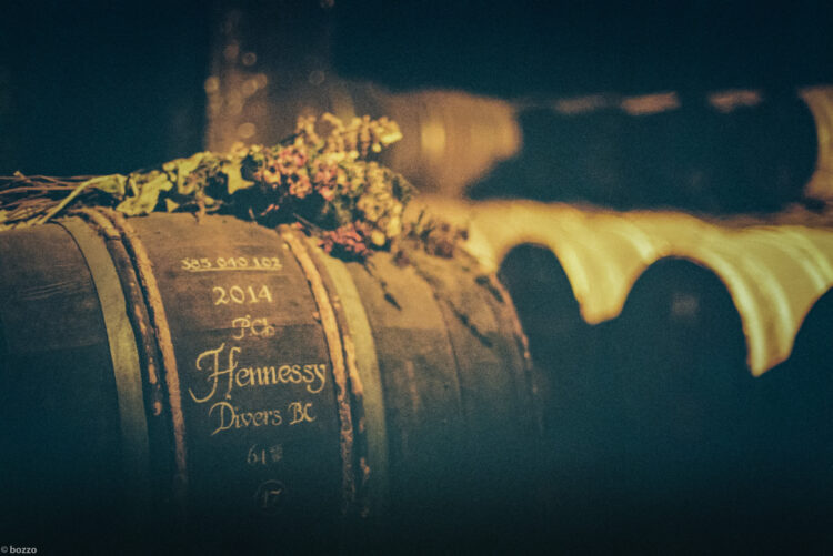 Golden light filtering through a Cognac cellar with oak barrels - Aging spirits with patience